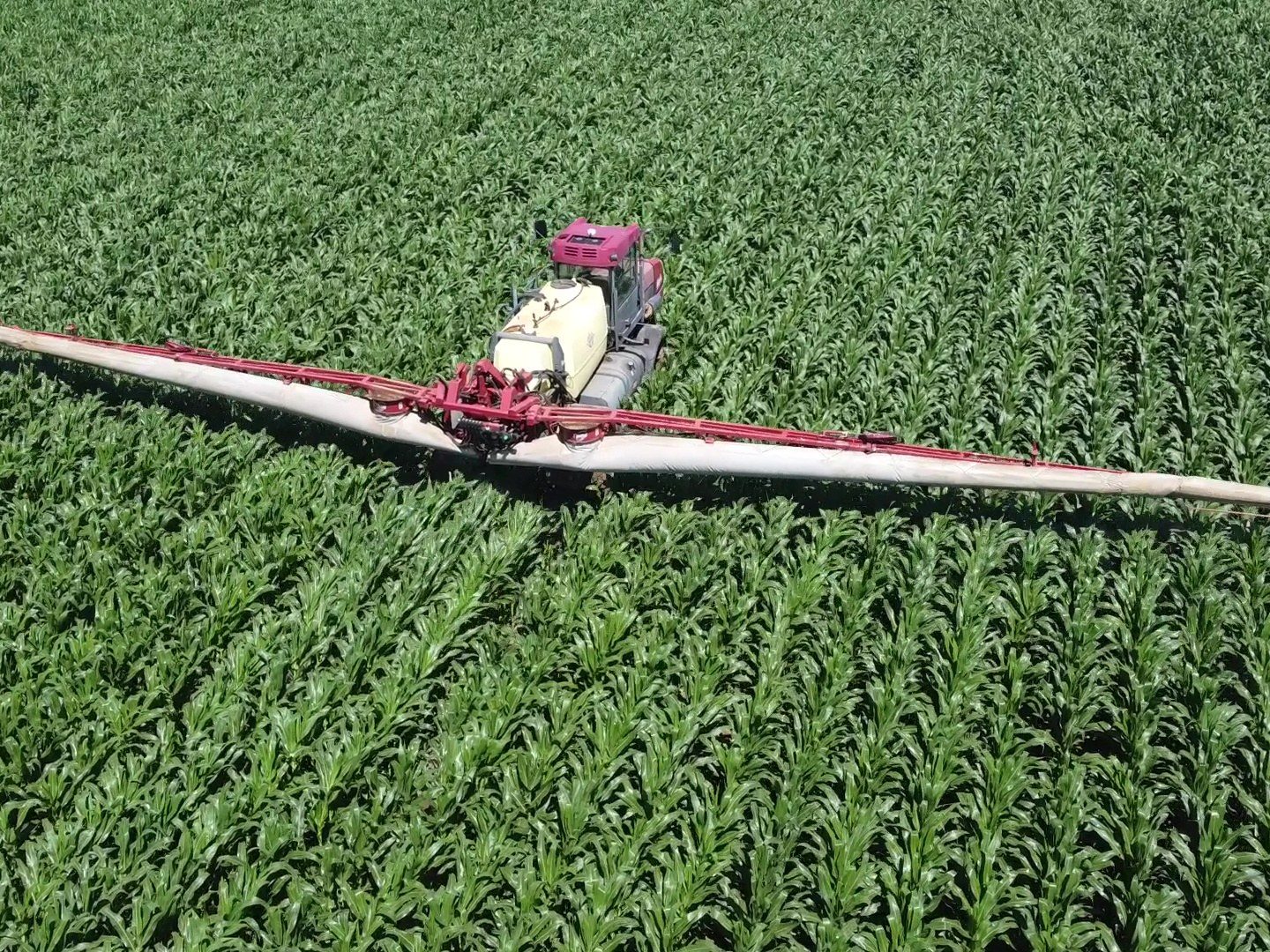 Spraying